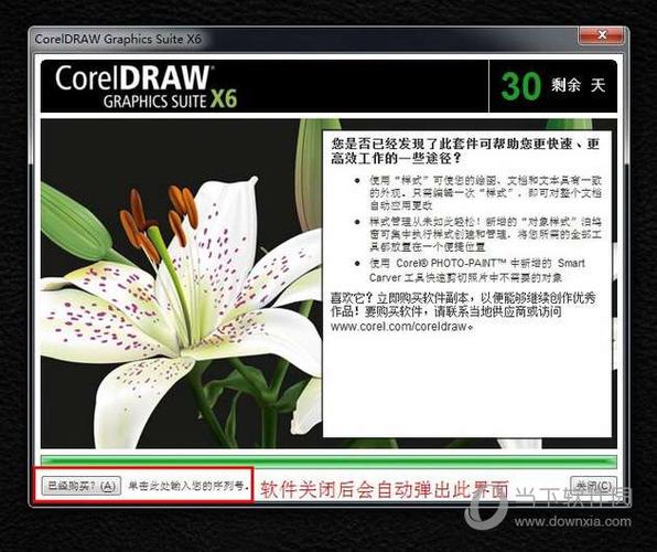 coreldraw12绿色版-coreldraw12绿色版完整