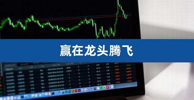 赢在龙头资金论市-赢在龙头资金论市直播