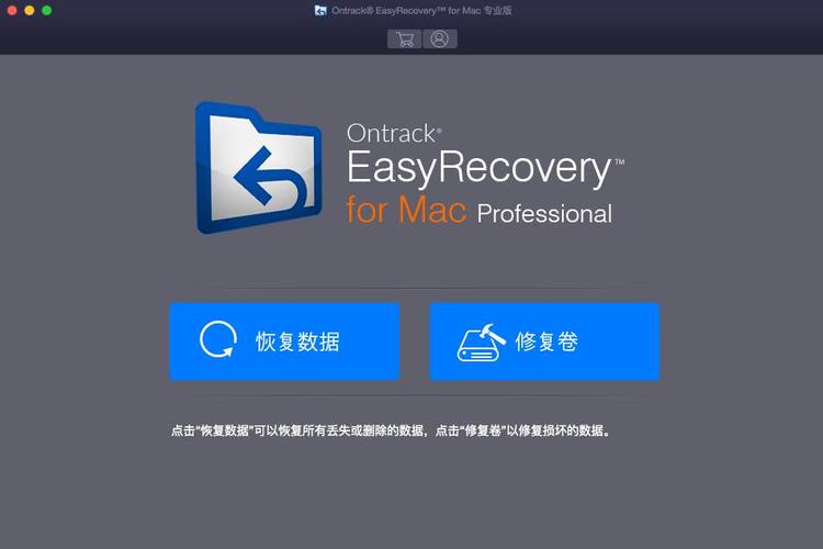 easy recover-easyrecovery