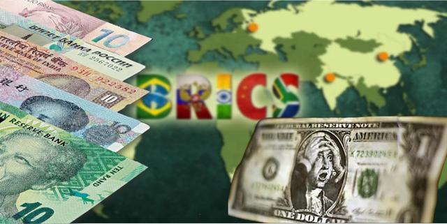 南非外长：金砖国家成员国间交易应使用除美元外其他货币