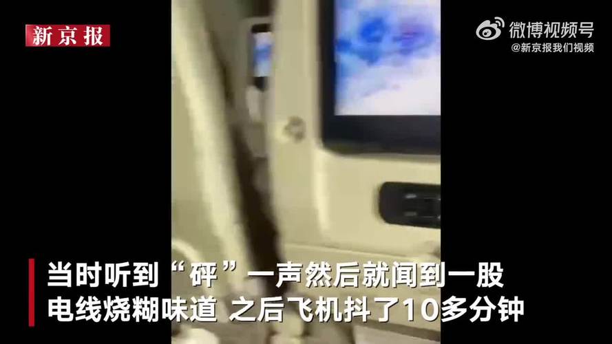 亲历者讲述东航航班故障备降：听到“砰”一声后闻到电线烧糊味道