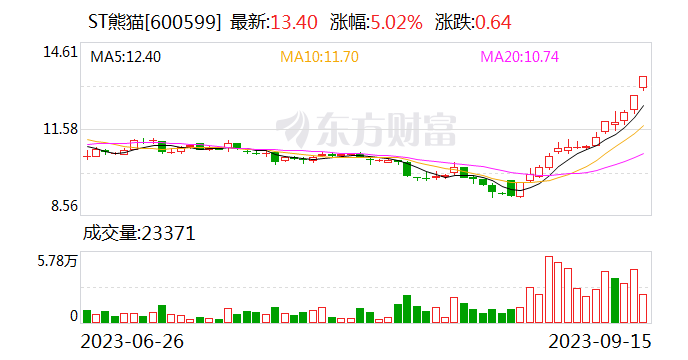 ST熊猫：公司涉及诉讼及资金占用风险